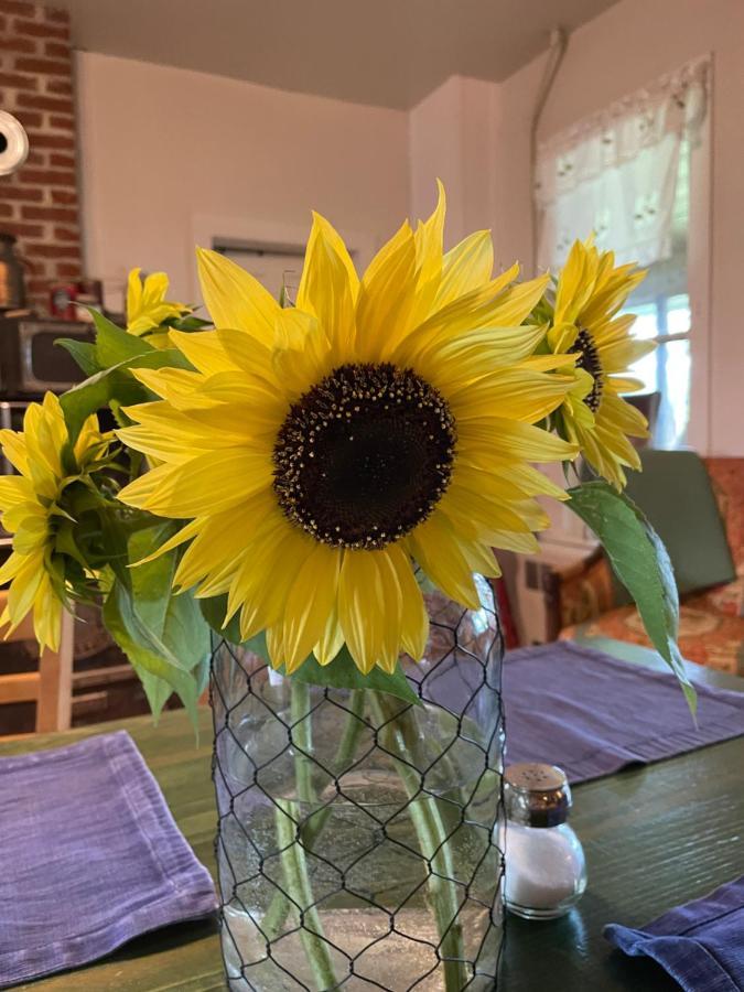 The Cottonwood Inn B&B Empire Luaran gambar